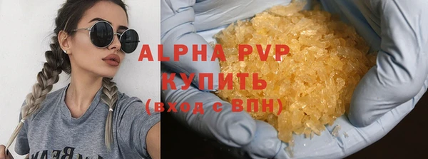 дмт Касимов