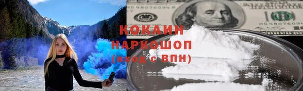 гидра Карпинск