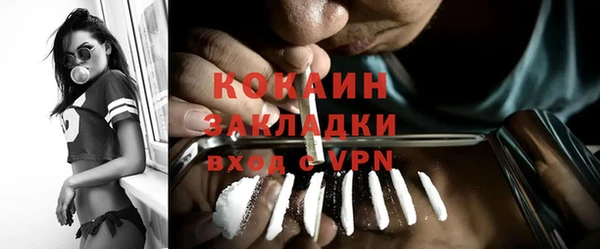 гидра Карпинск