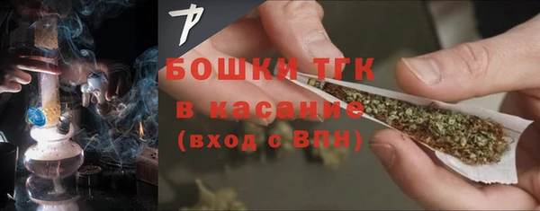 дмт Касимов