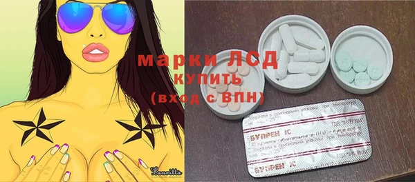 гидра Карпинск
