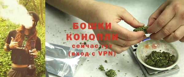 дмт Касимов