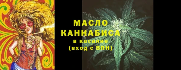 гидра Карпинск
