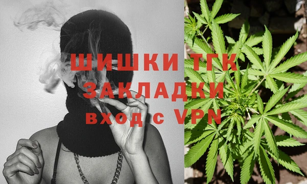дмт Касимов
